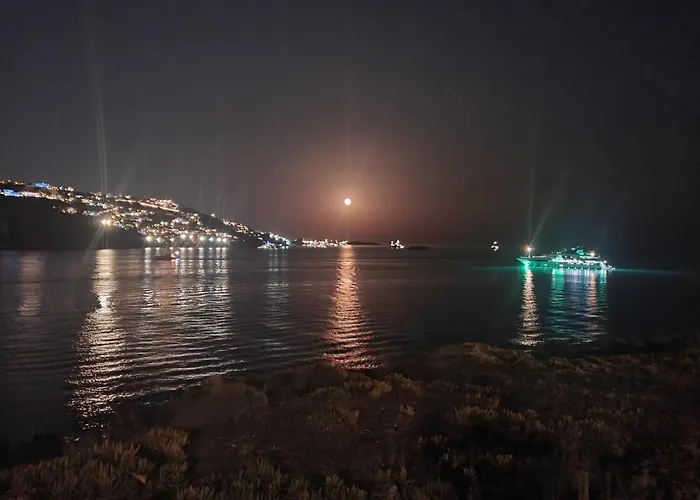 Healthy House Mykonos Βίλα Ορνός