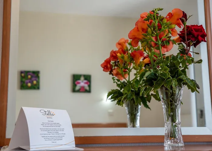 Stella Naxos Island Aparthotel Agia Anna 