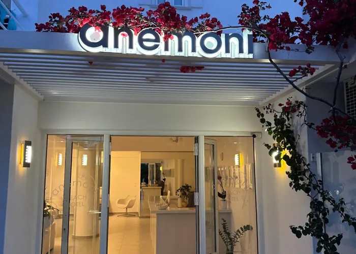 Anemoni Beach Hotel