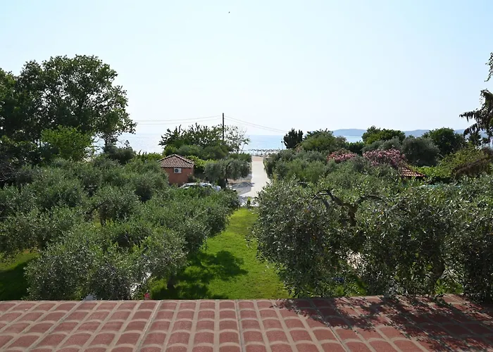 Sissy'S Suites San Antonio Beach Potos Thassos