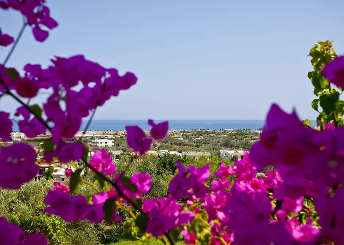 Iris Hotel Afantou