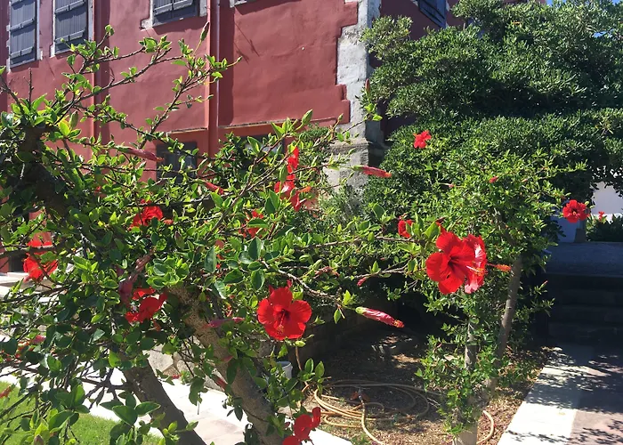 Oasis Guesthouse La Canea