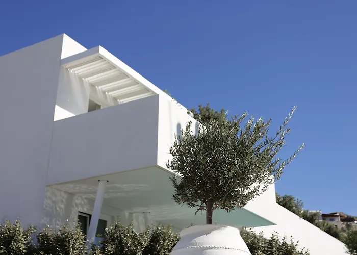 Mykonos Dove Beachfront Hotel Πλατύς Γιαλός