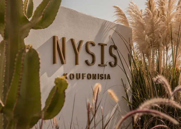 Nysis