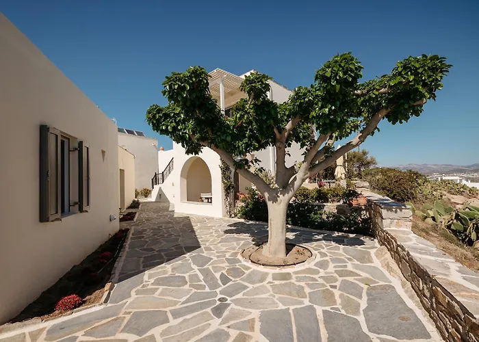Proteas Hotel & Suites Agios Prokopios 