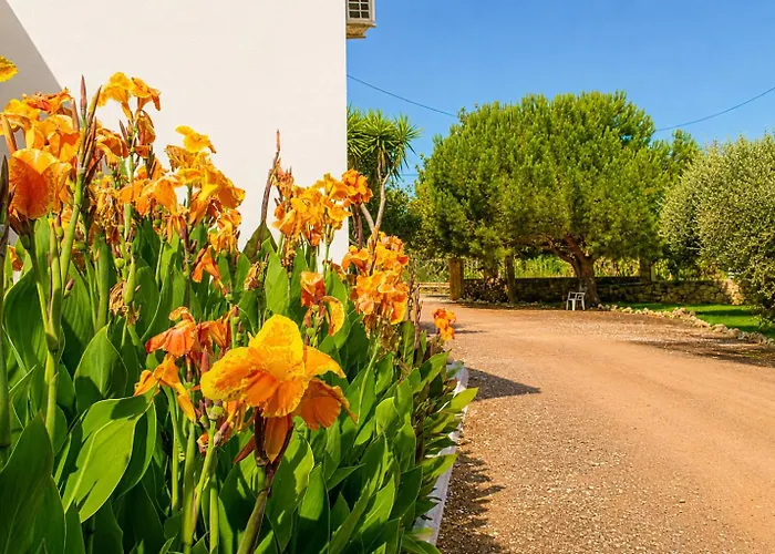 Lagouvardos Beach Apartments Μαραθόπολη