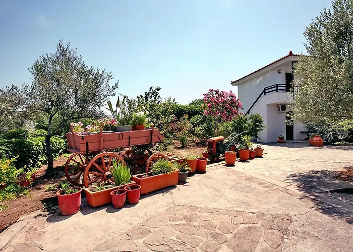 Hotel Pela
