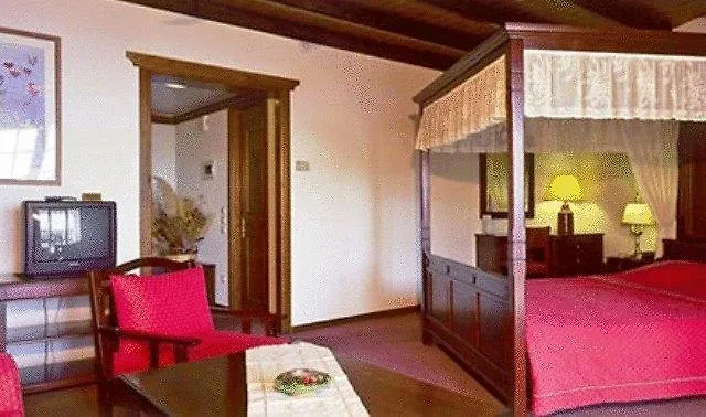 Hotel Spa Montana
