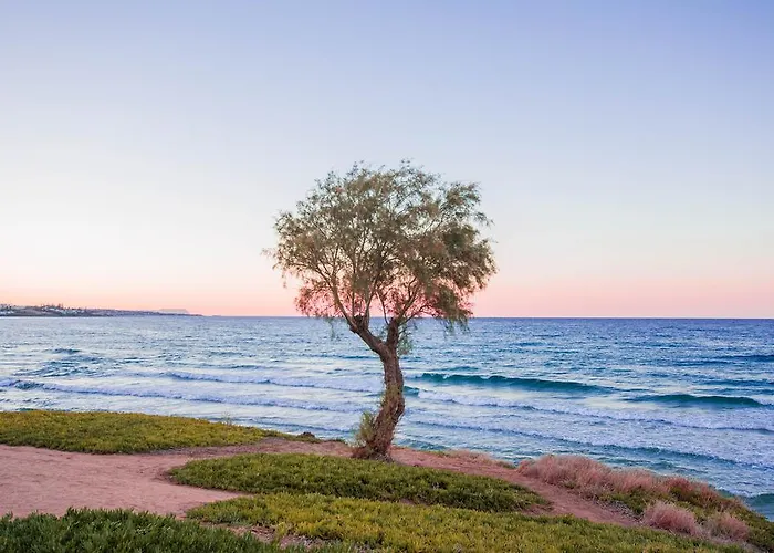 Ariadne Beach Hotel Malia