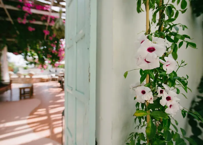 Gorgona Studios Faliraki