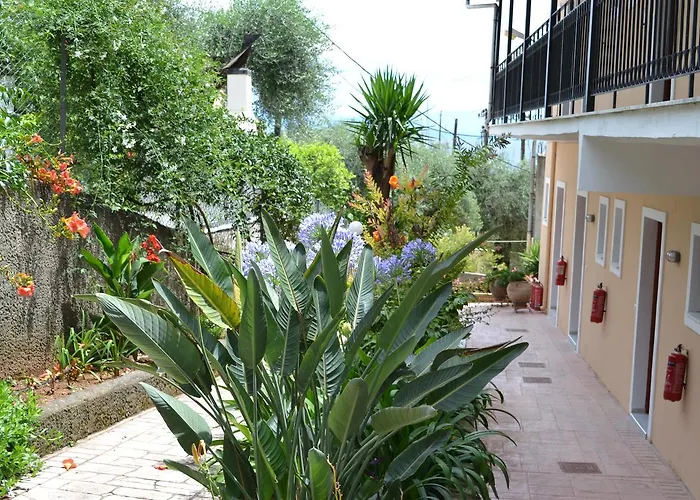 Iliana Studios