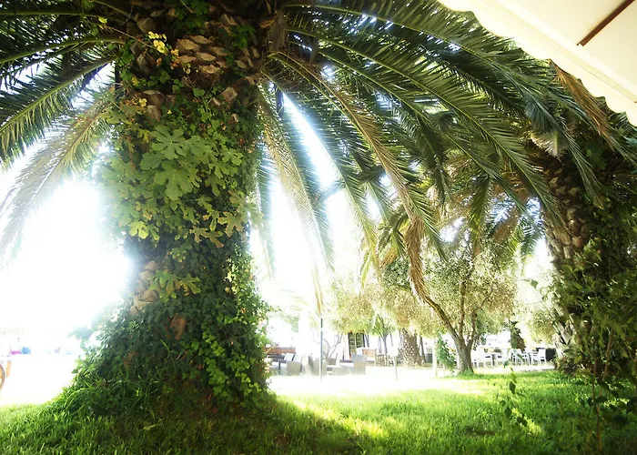 Possidona Beach Hotel