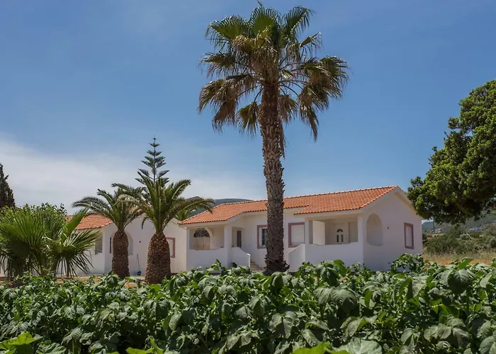 Ambelakia Studios